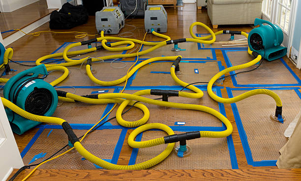 Professional Water Damage Restoration technician working in Ardmore, PA